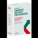 KASPERSKY ENDPOINT SECURITY FOR BUSINESS SELECT 100-249 ADET ARALI�I